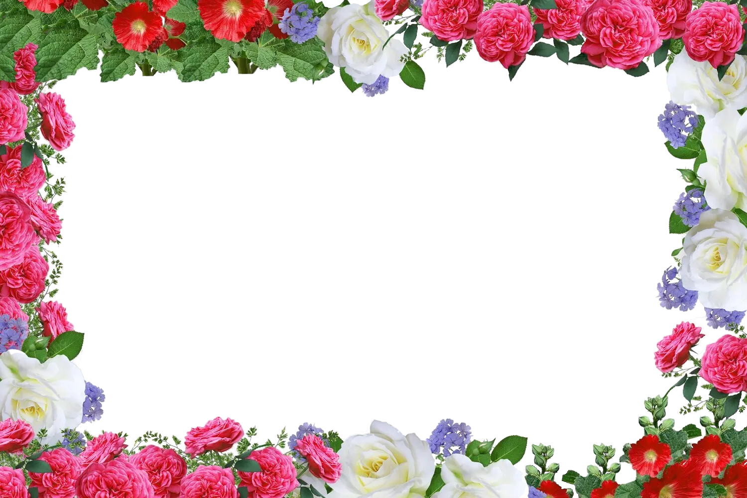 Flower Border